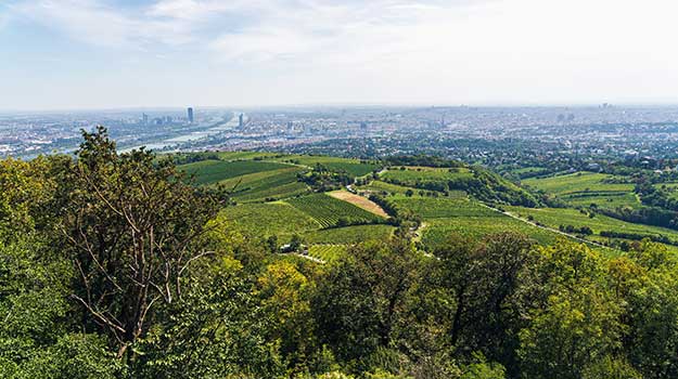 Blick über Hernals bis zur Wiener Innenstadt bei schönem Wetter